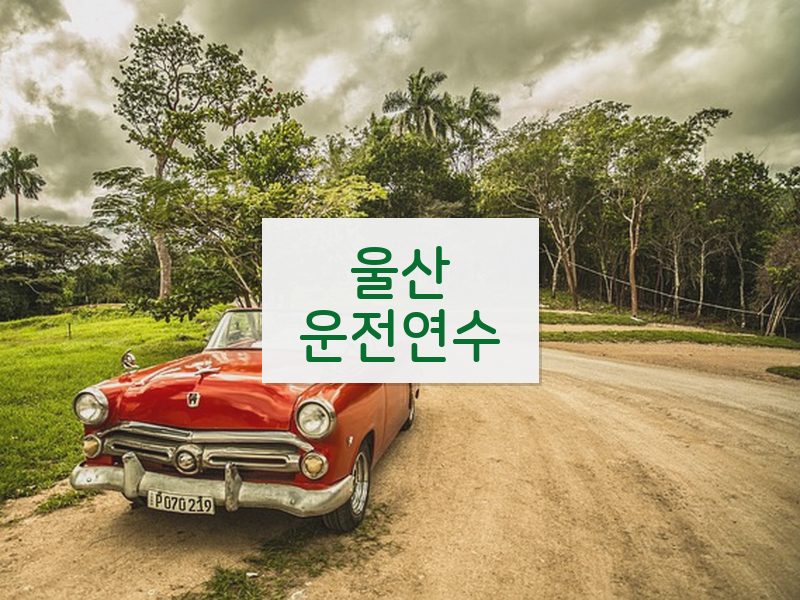 울산운전연수 후기