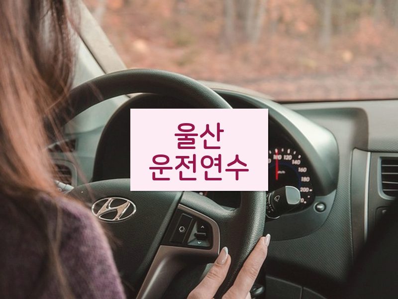 울산운전연수 후기