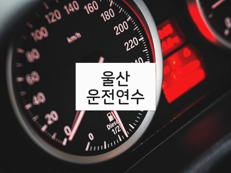 울산운전연수 후기