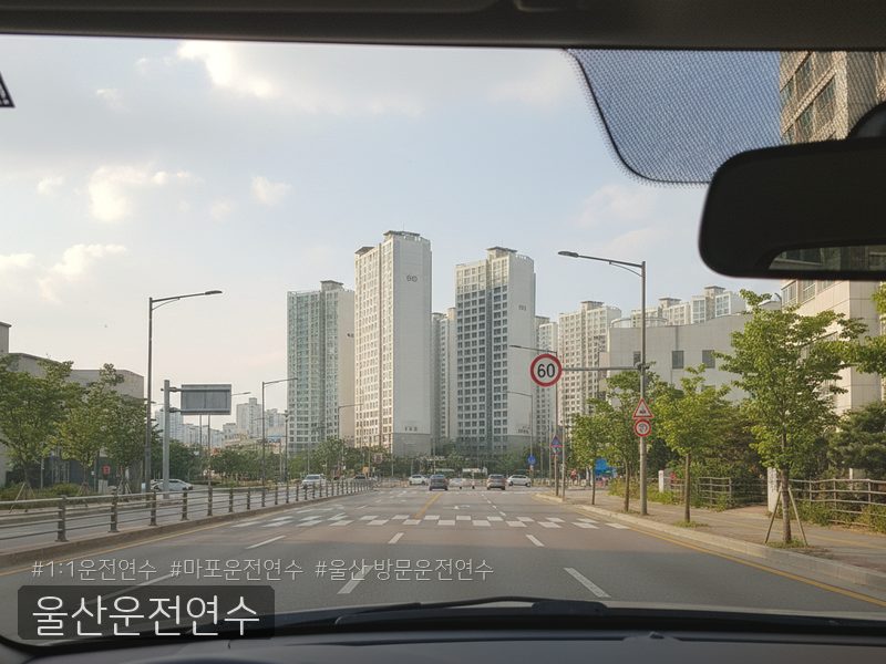 울산운전연수 후기