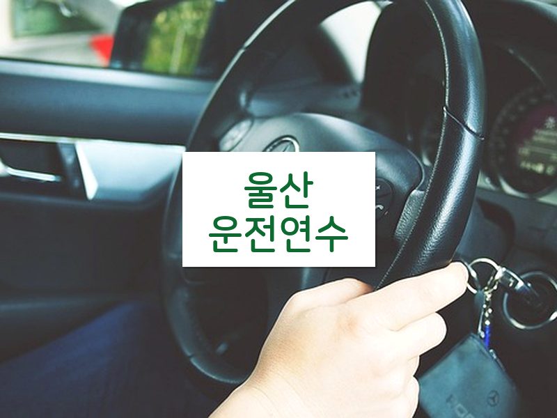 울산운전연수 후기