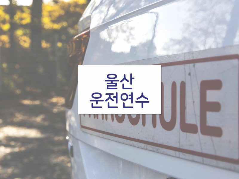 울산운전연수 후기