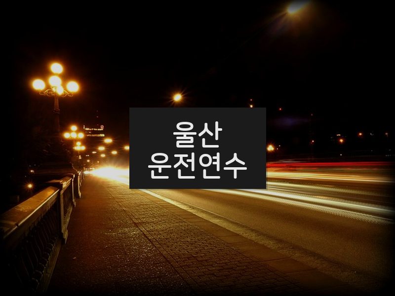 울산운전연수 후기