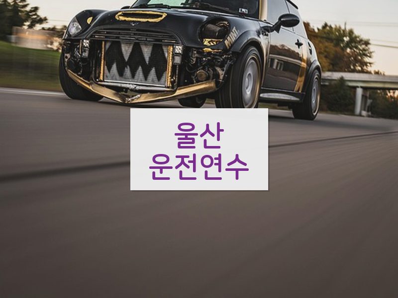 울산운전연수 후기