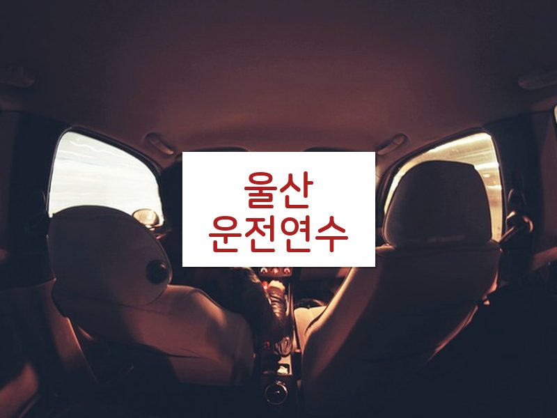 울산운전연수 후기
