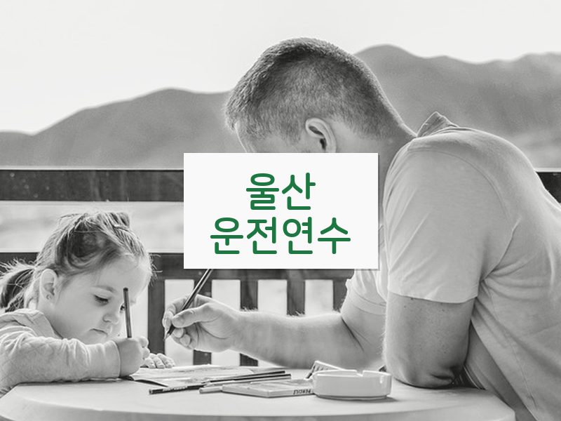 울산운전연수 후기