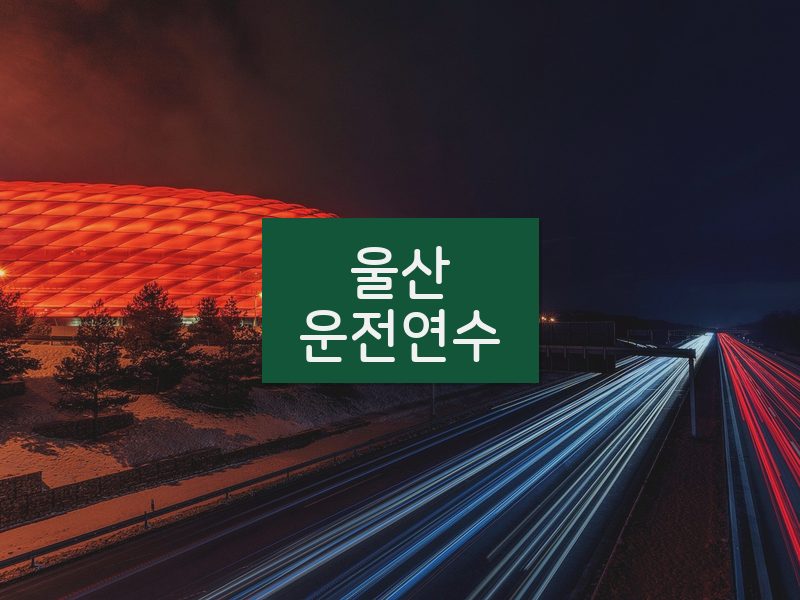 울산운전연수 후기