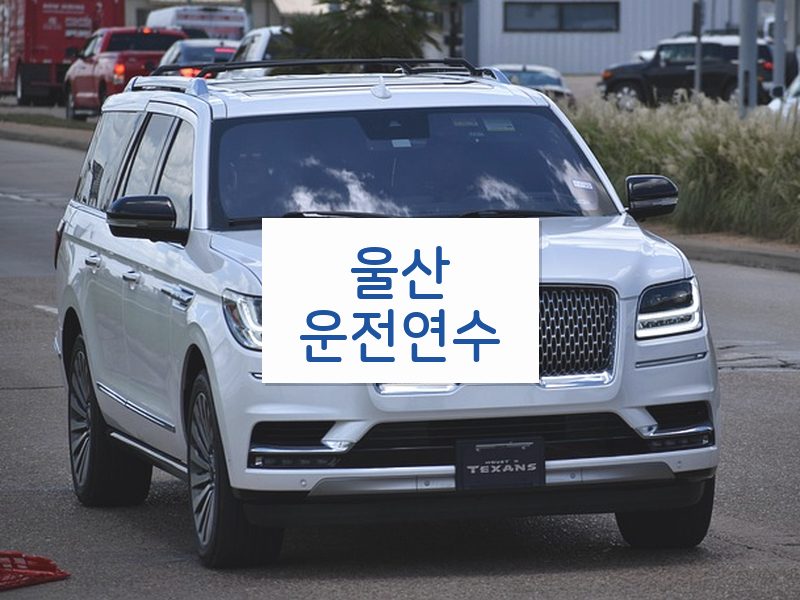 울산운전연수 후기