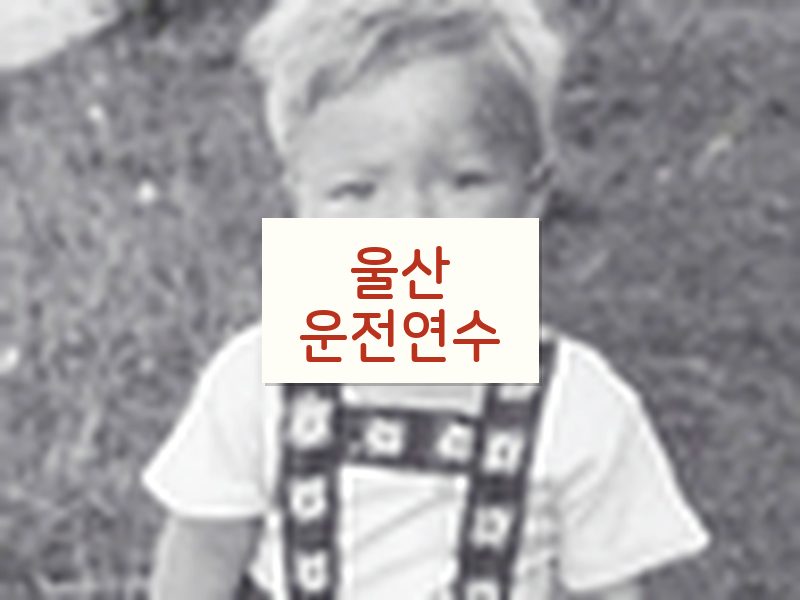 울산운전연수 후기