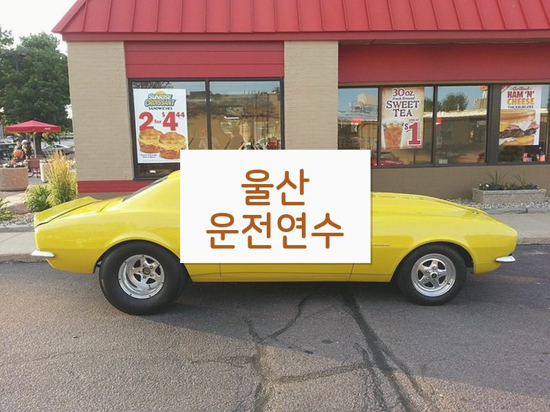 울산운전연수 후기