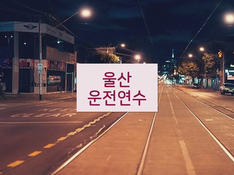 울산운전연수 후기