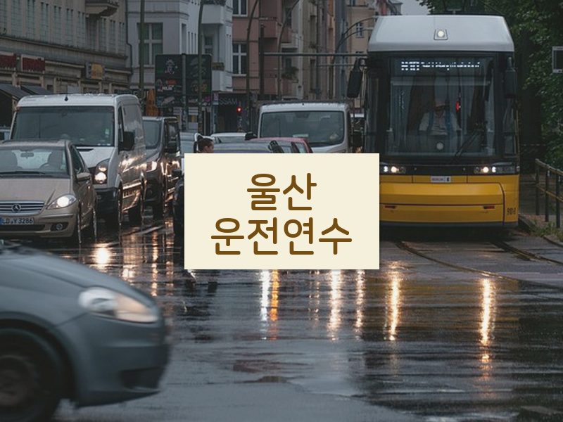 울산운전연수 후기