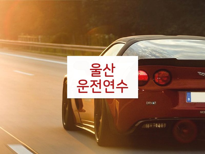 울산운전연수 후기