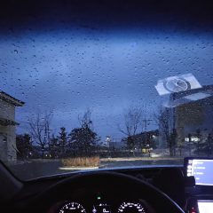 후기 이후에도 관심 가진 강사님 후기 이미지