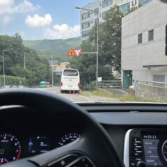 울산 전통시장 근처 주차 성공한 날 기념 후기