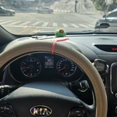 대구 초보운전 대구운전연수 후기입니다 후기 이미지