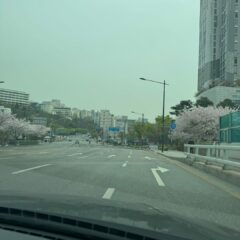 울산운전연수 솔직담백 후기 후기 이미지