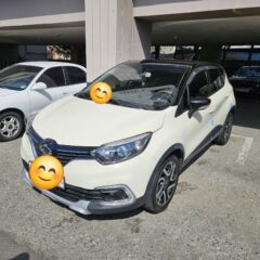 경사로 주차 놀라운 성공!