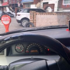 장보기 위한 운전 연수