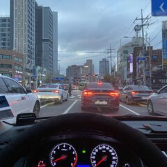 동료와 함께 타는 차 운전 후기 이미지