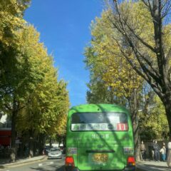 퇴근 후 드라이브가 나의 힐링이 됐어요