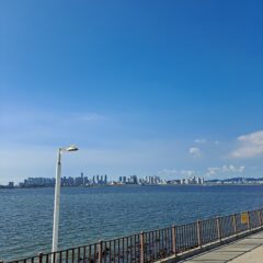 울산 출퇴근 운전 너무 힘들었어요