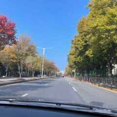 야간+비 오는 날 운전