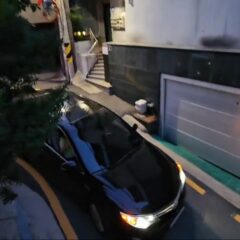 밤에 울산 달리기